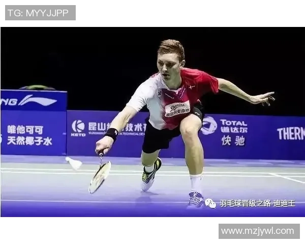 羽毛球传奇吴敏的成长与奋斗之路对话分享