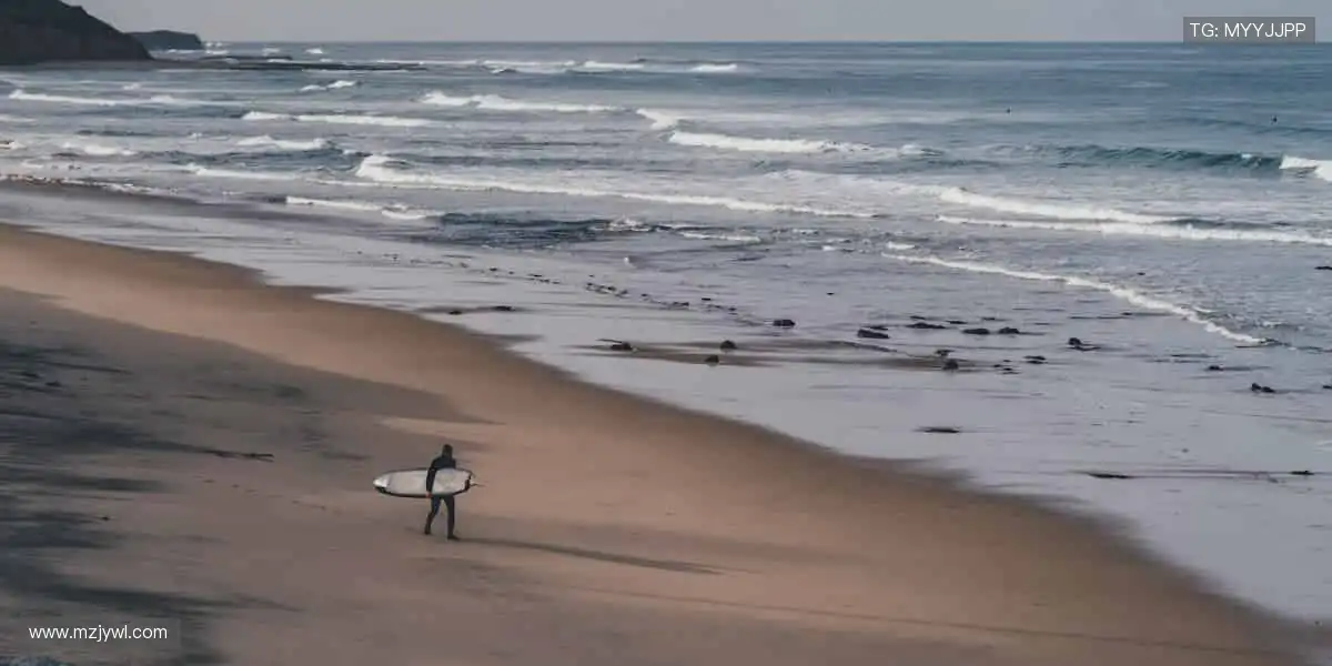 🎮 互动直播,和千万球迷一起嗨!